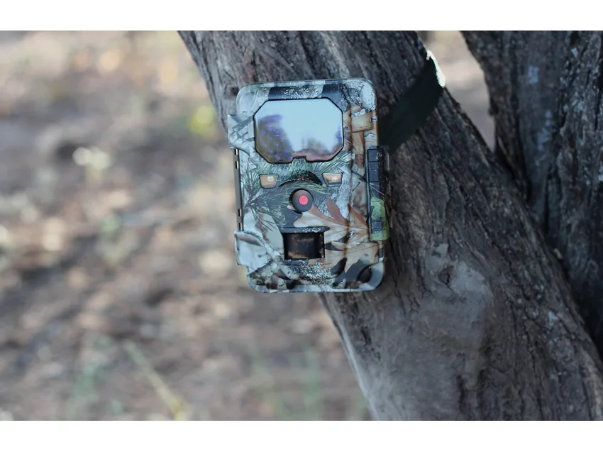 Фотоловушка Minox DTC600 camo