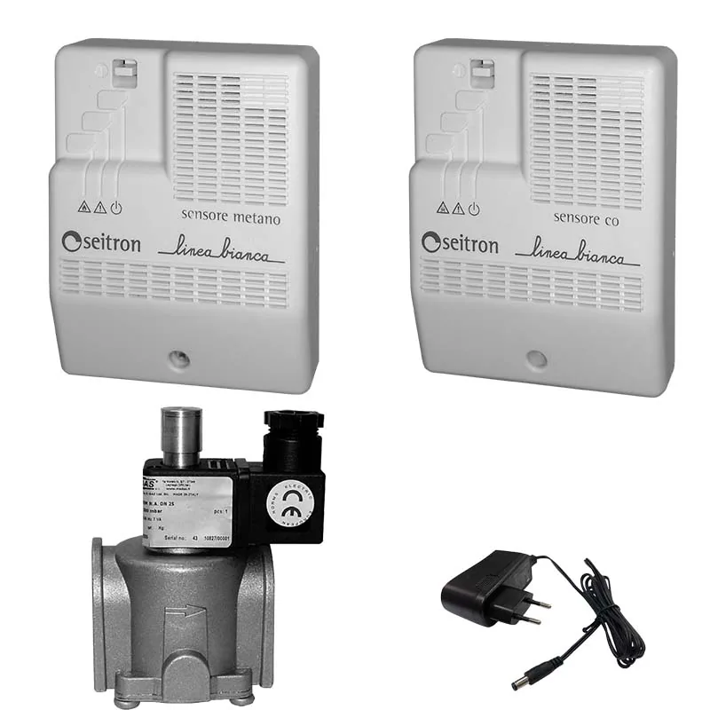 Комплект Seitron RGD-CH4+CO-DN15
